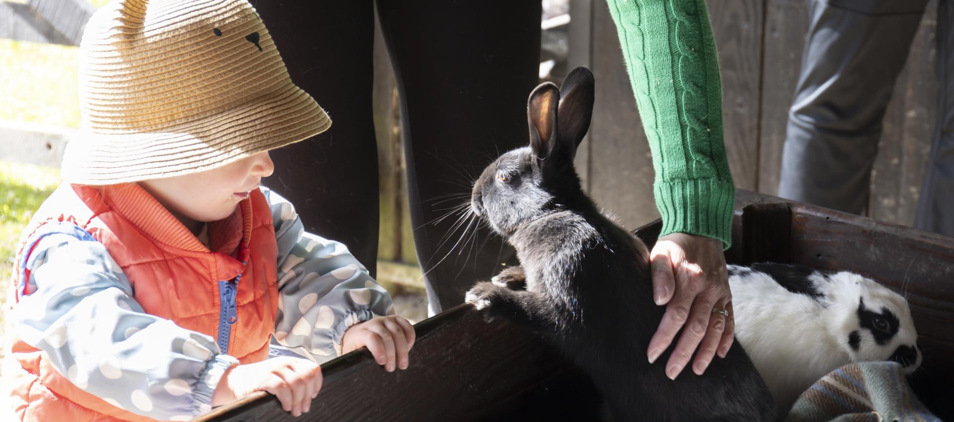 child with rabbit