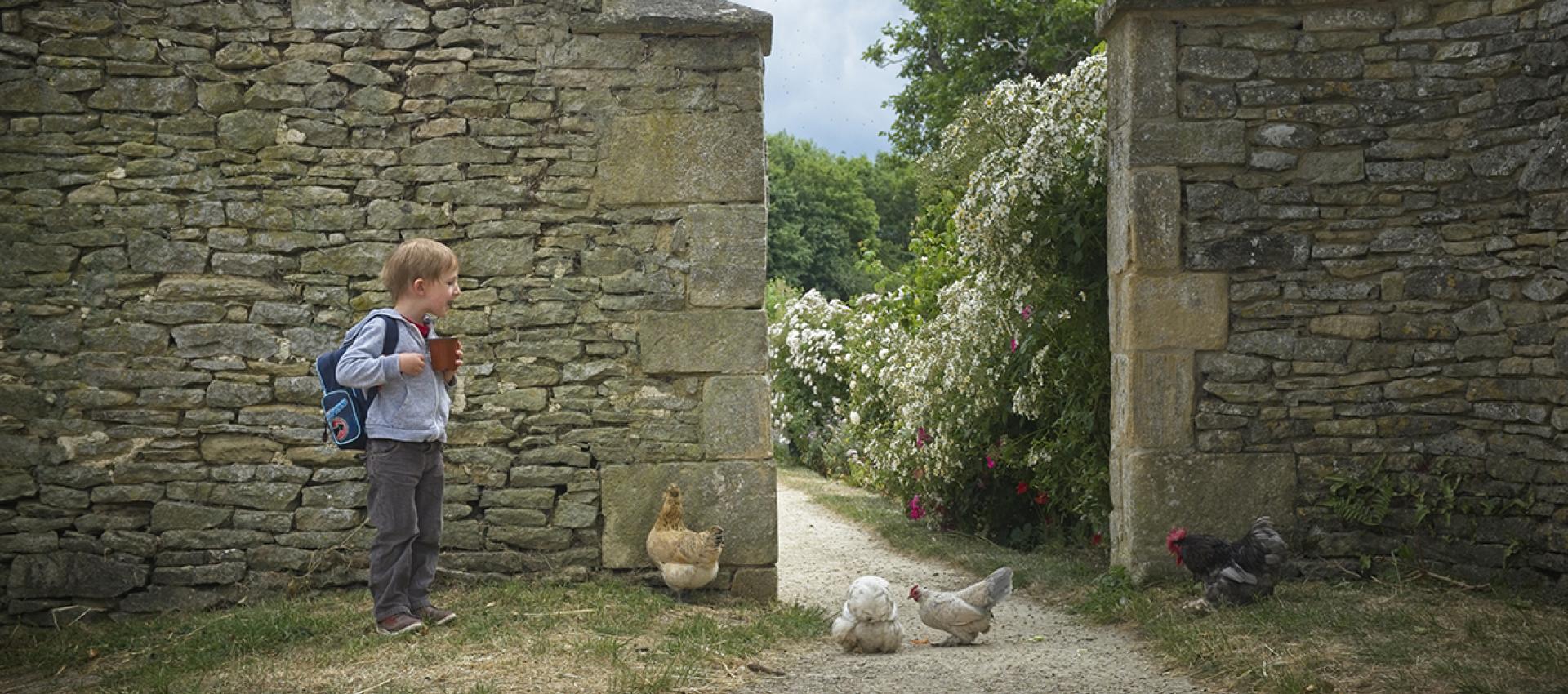 Boy with chicken in grounds