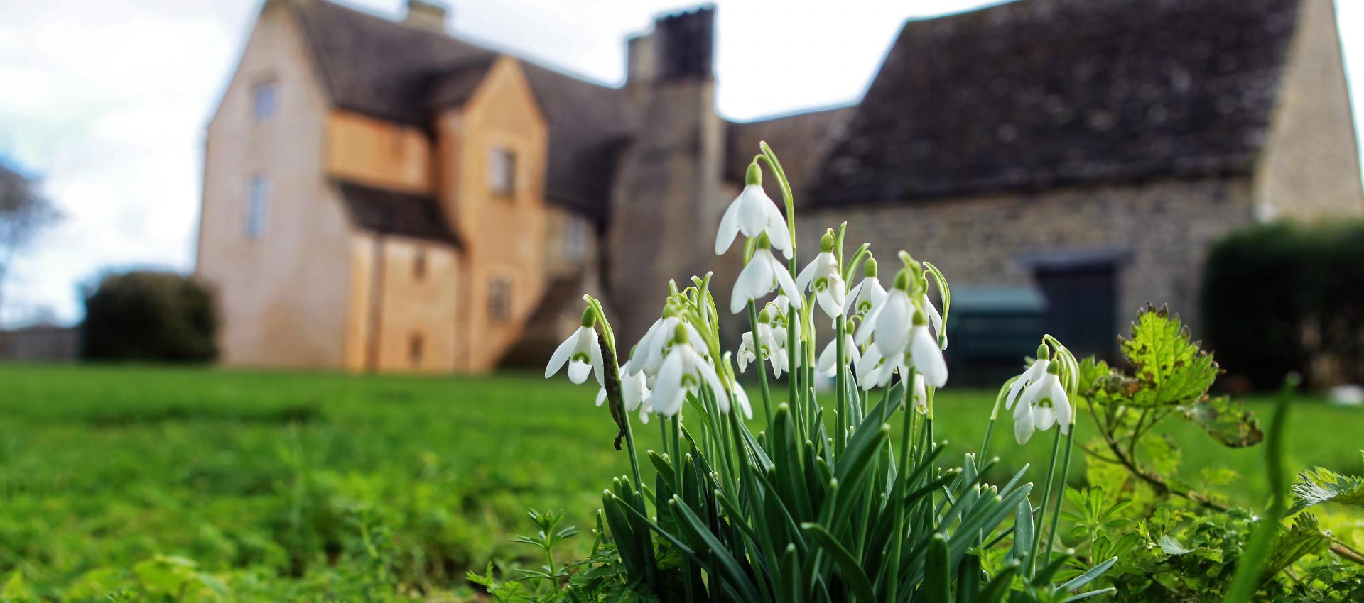 Cogges snowdrops with Manor House in background