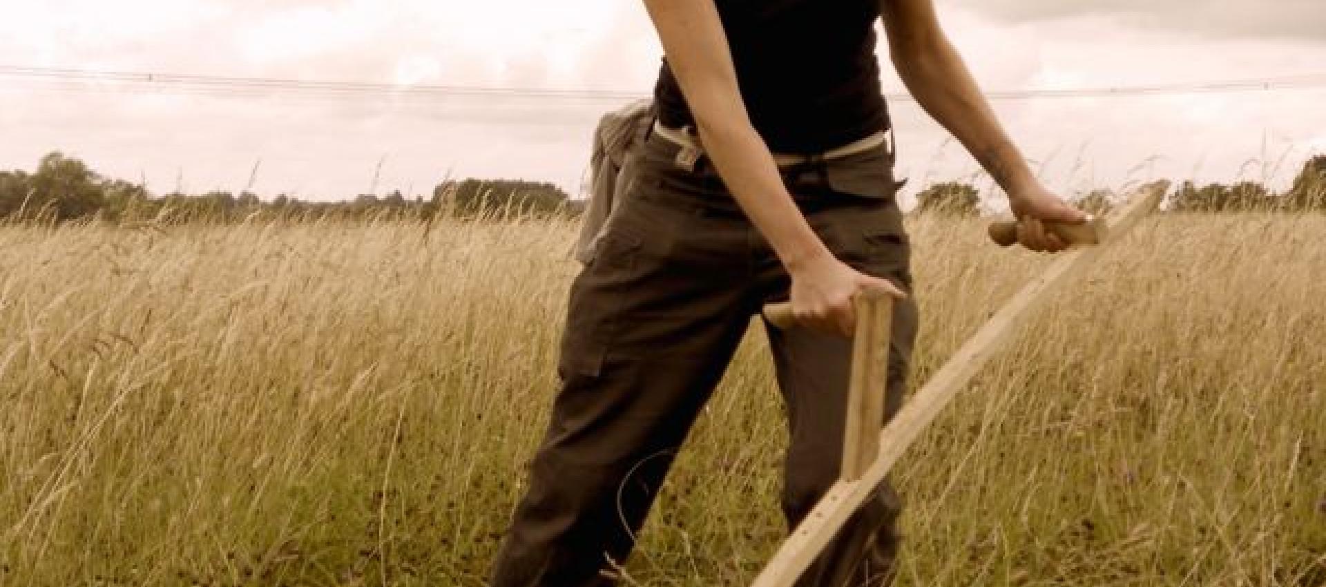 A person scything in a field 