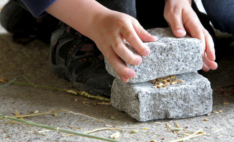 ground wheat between stones outdoor education